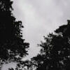 coleson0305